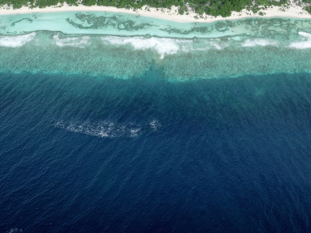 Silné zemětřesení o síle 7,7 zasáhlo Karibik mezi Kubou a Jamajkou, vydány varování před tsunami