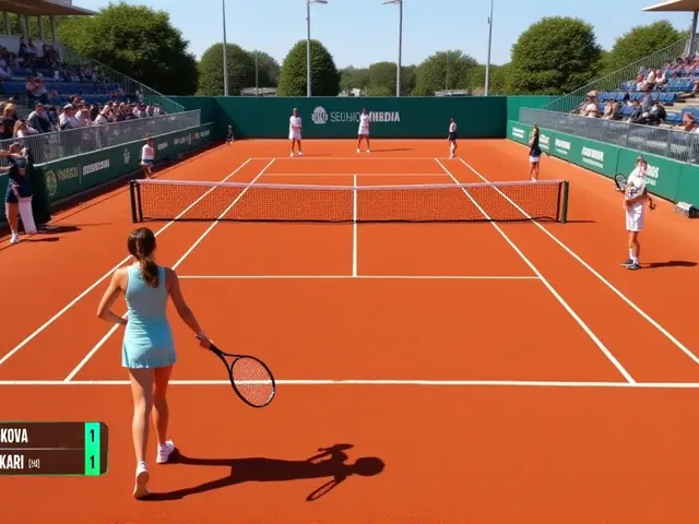 Češi rozbili Madrid: Kopřiva vyřadil Rubljova, Plíšková se vrací